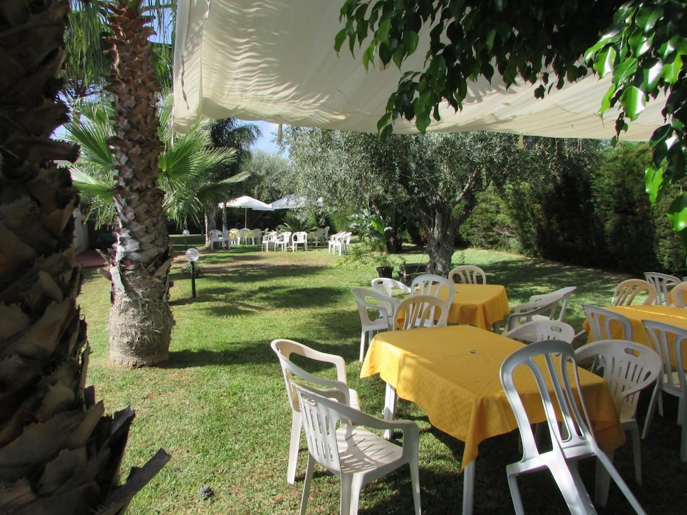 L'araucaria 23/50