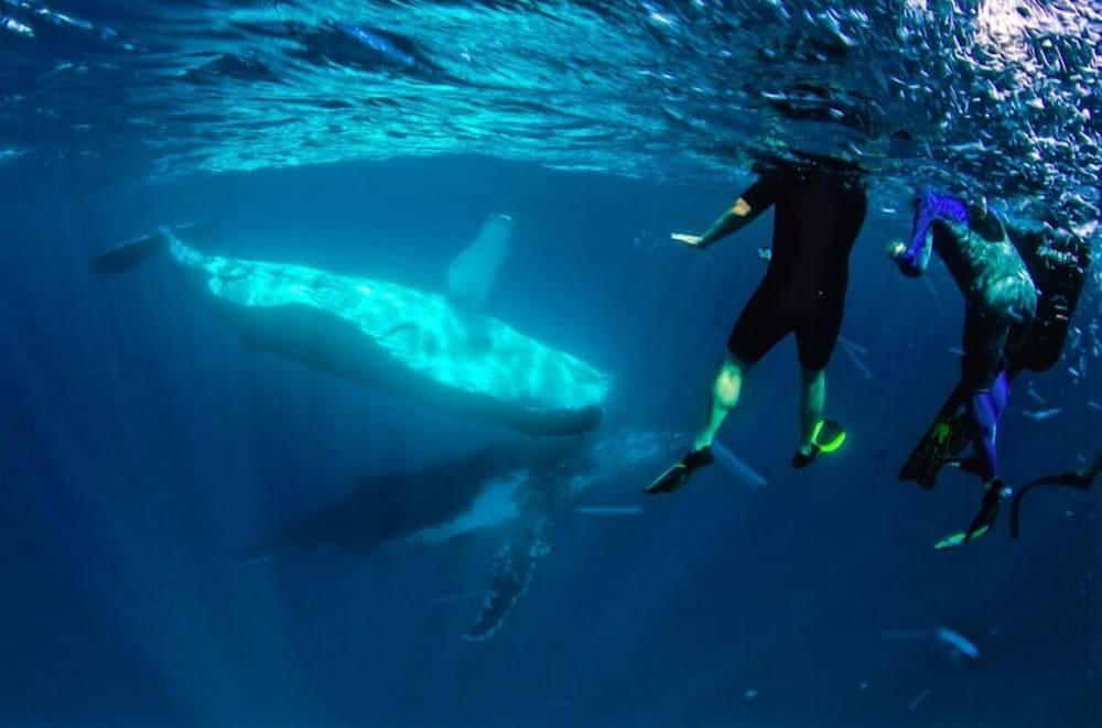 NINGALOO LODGE EXMOUTH. 40/50