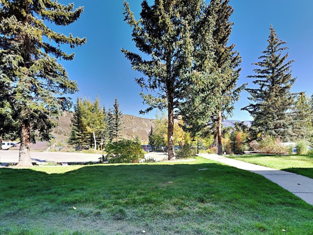 Timberline Condominiums 77/81
