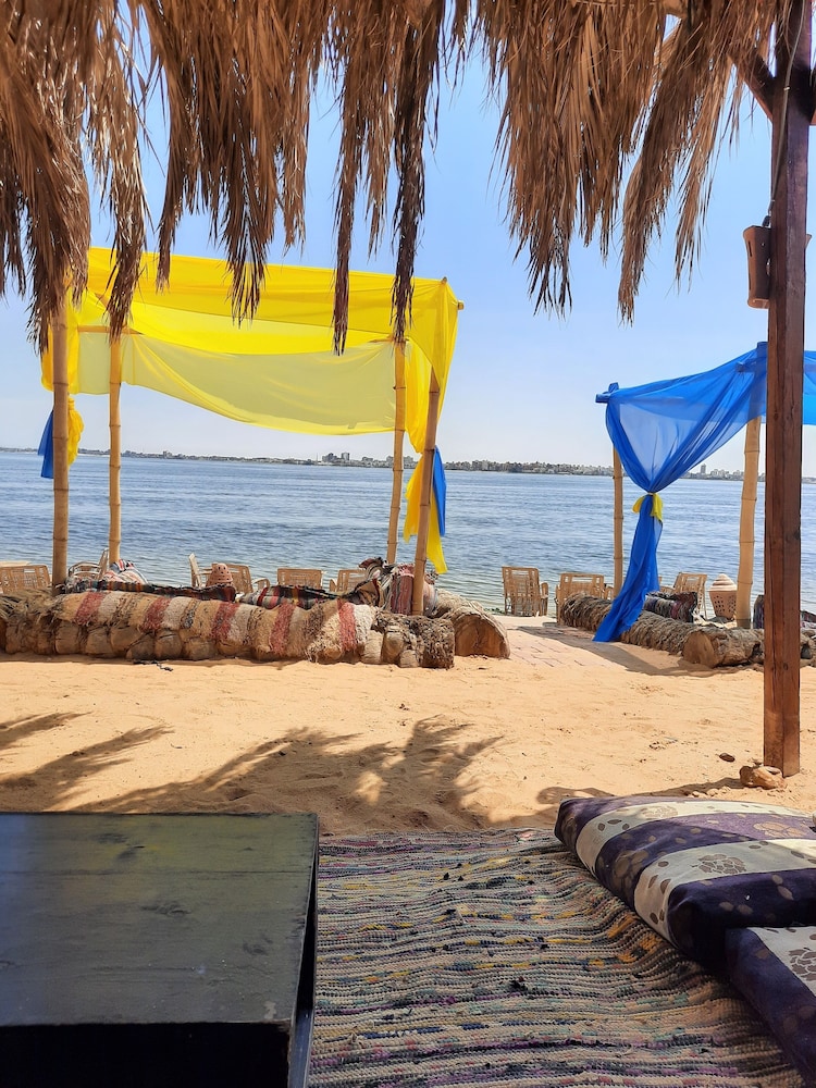 Tolip Elforsan Ismailia 39/50