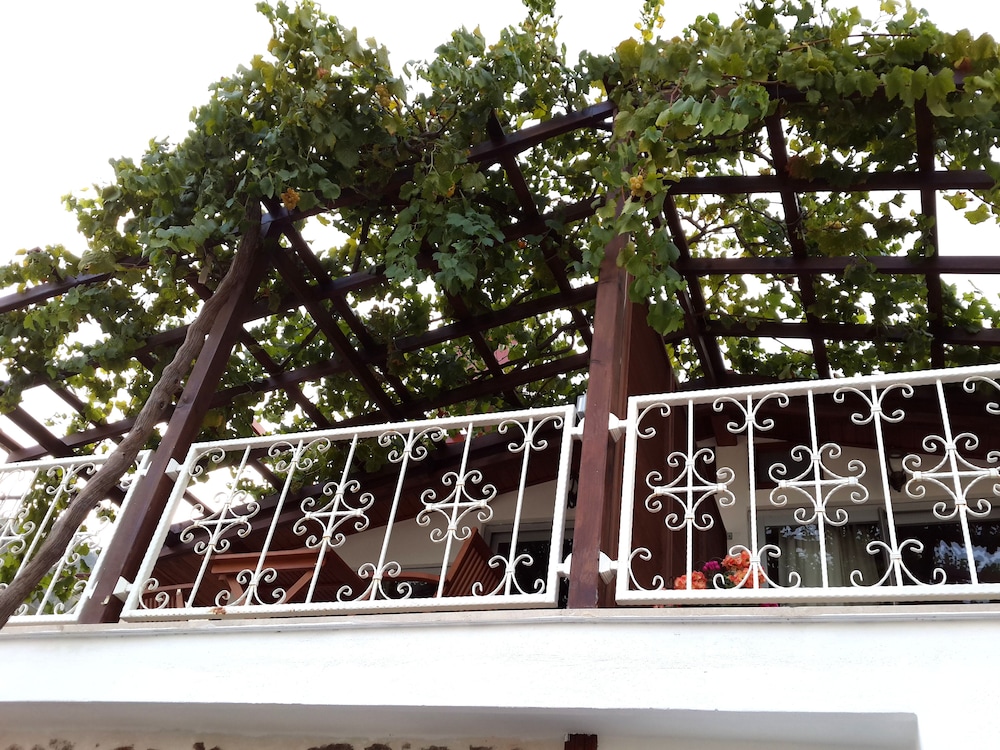 Lemon Villa Hotel 69/74