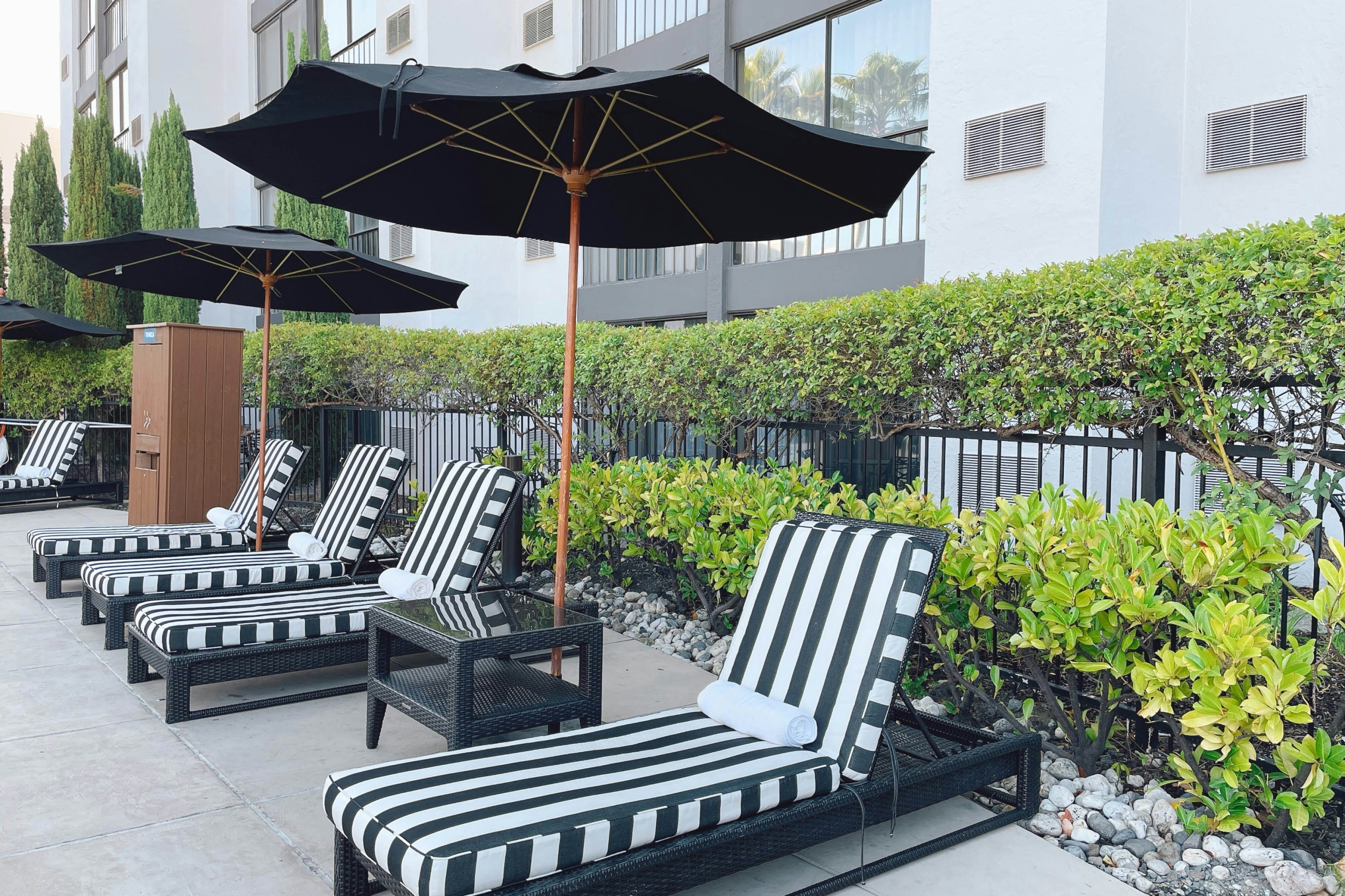 Four Points by Sheraton San Rafael Marin County 31/47