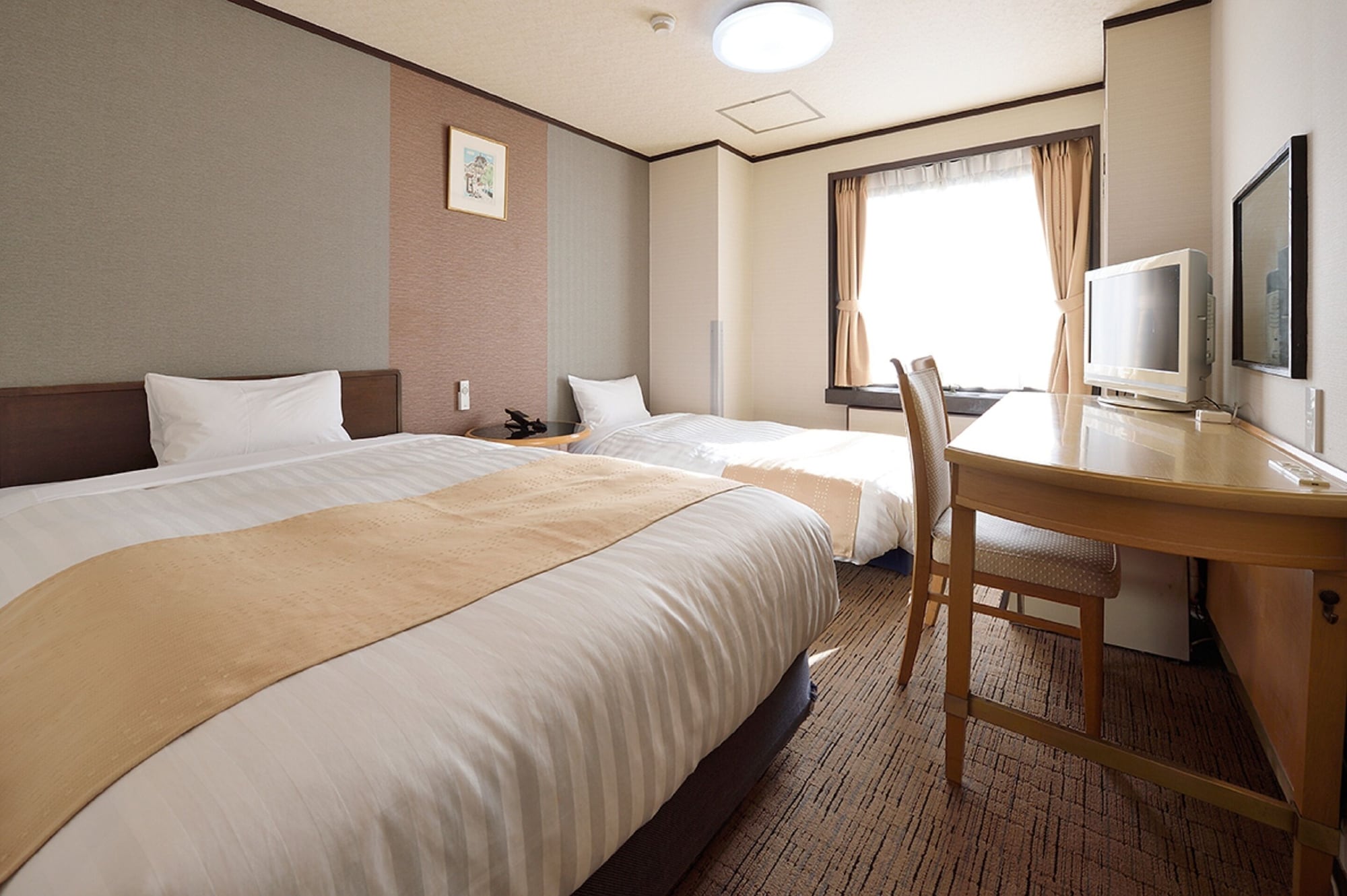 STUDIO, SINGLE BED, SOFA