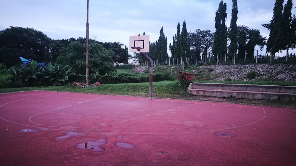 Dumeros 31/50