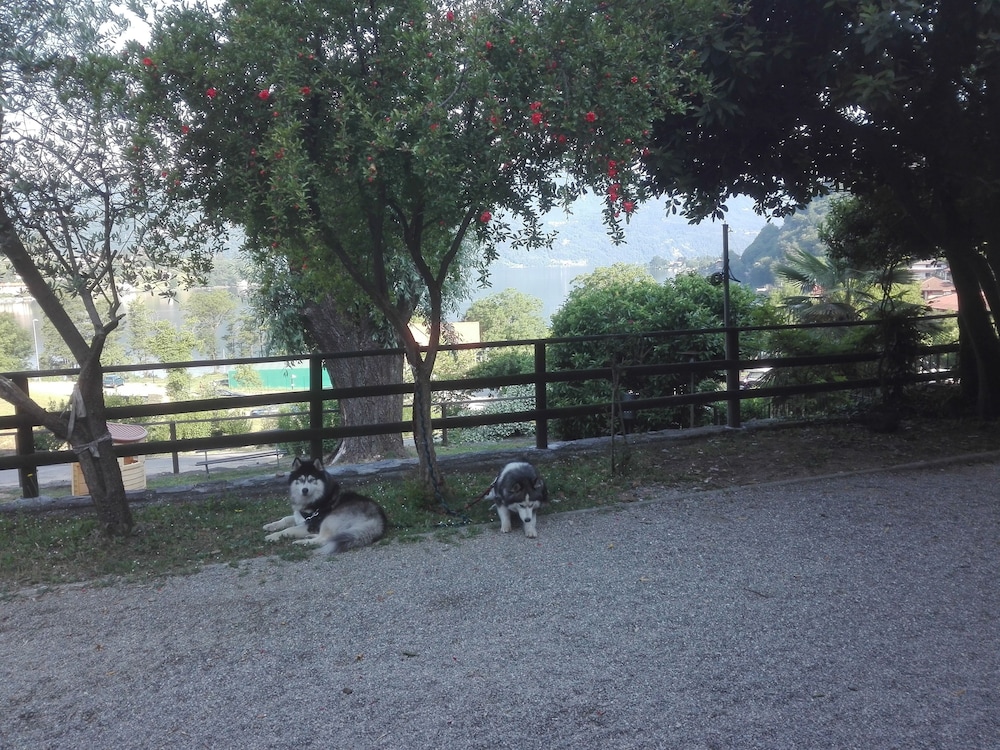 Hotel Bocciolo 42/50