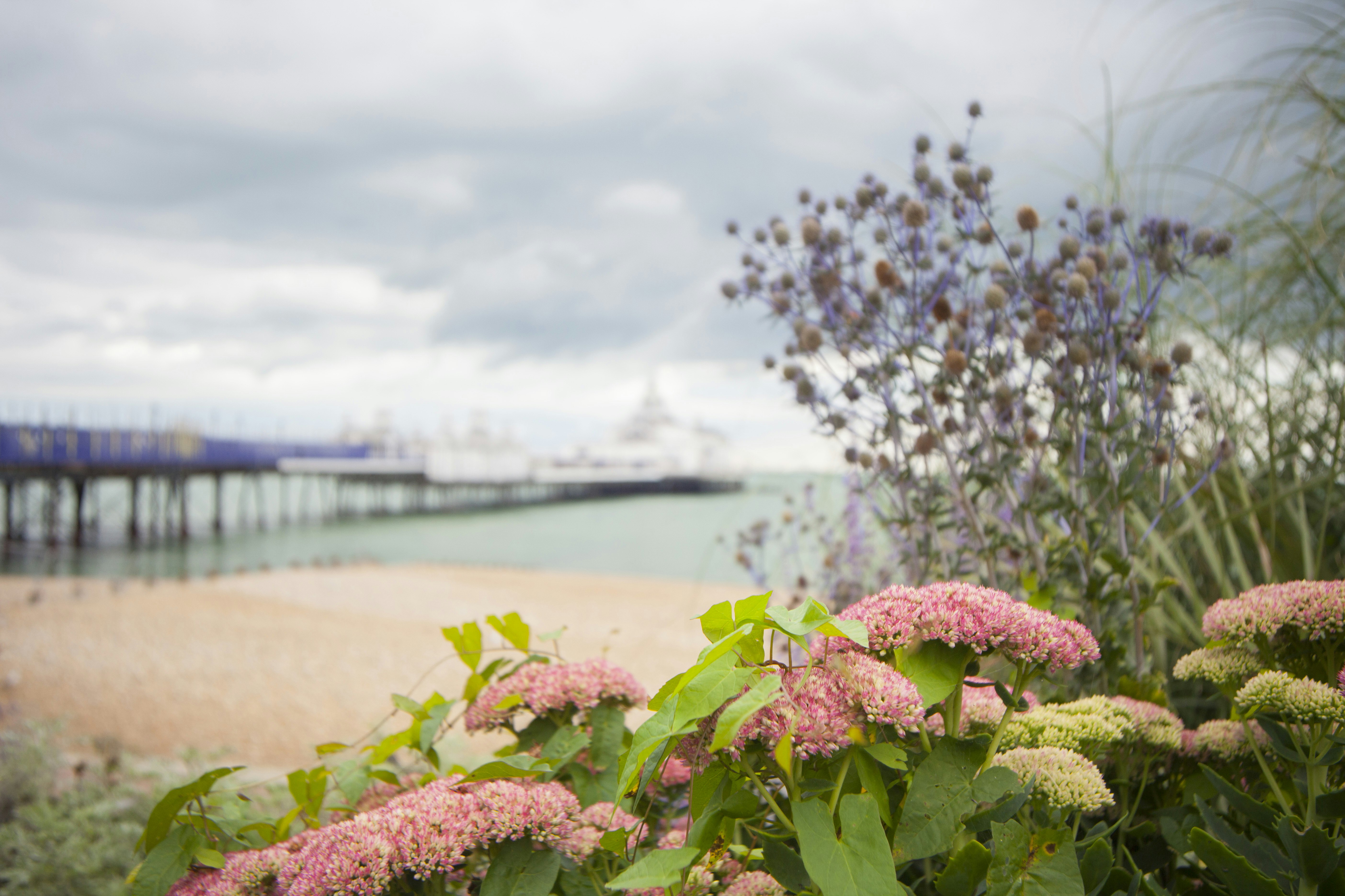 Citrus Hotel Eastbourne 48/58