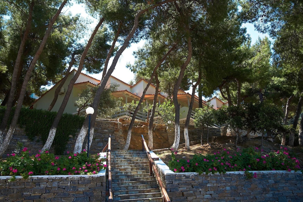 Venus Beach Hotel 58/64