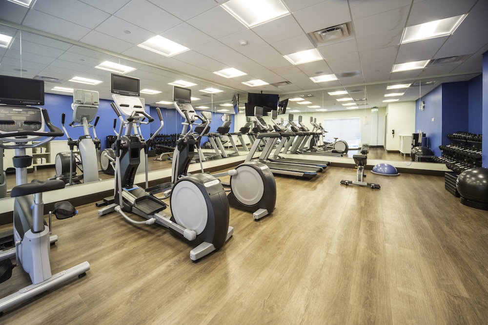 Holiday Inn Express and Suites Brevard City Center 22/51