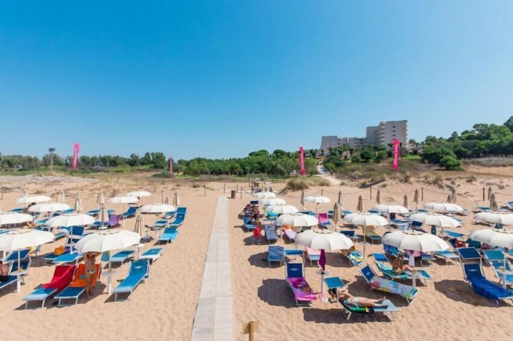 Paradise Beach 36/50