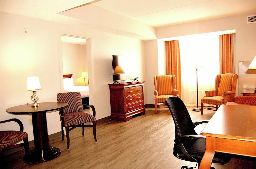 Executive, Suite, King Bed, Sofa