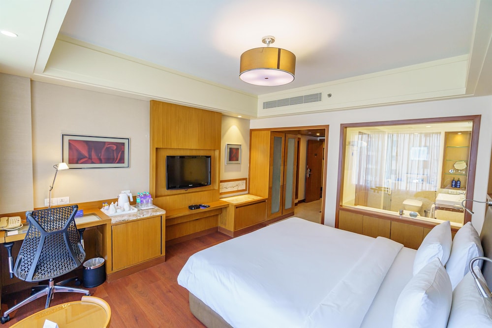 Radisson Blu Hotel Indore 17/50