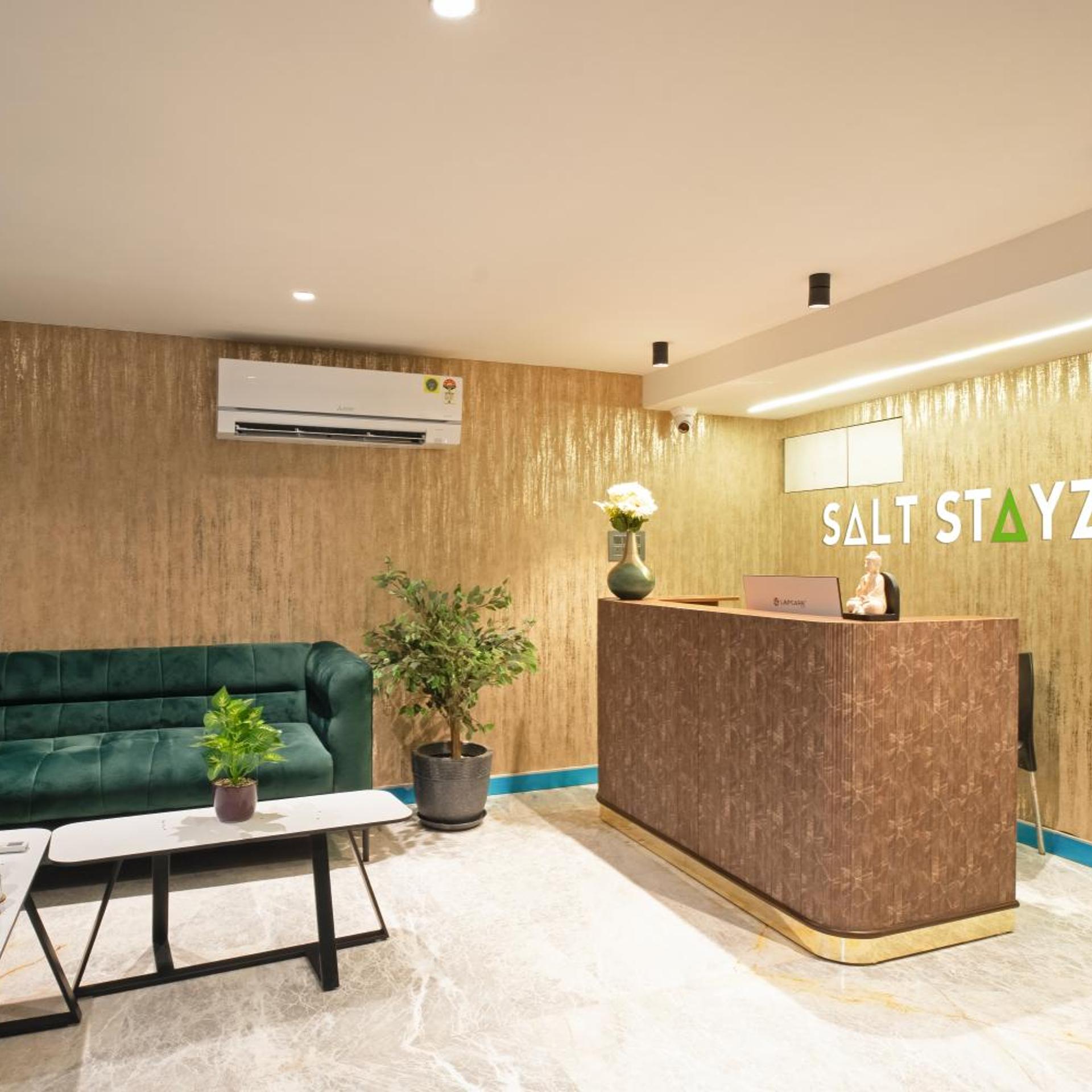 Saltstayz Premier Naraina Vihar 10/60