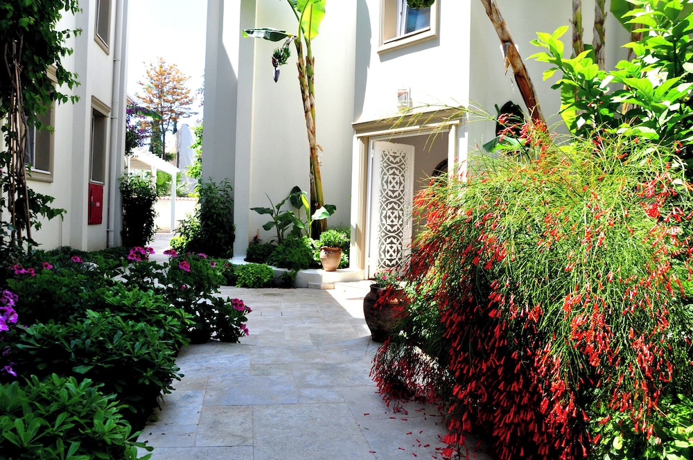 Olivias Group Hotel 26/42