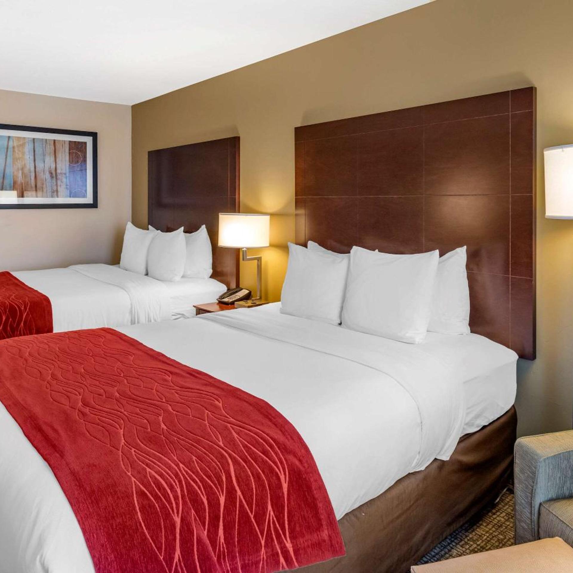 Superior, Queen Bed
