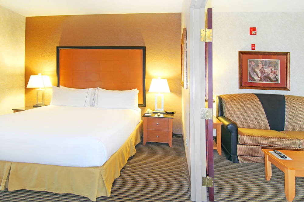 Holiday Inn Express Hotel Suites Calgary South Macleod Trail S 18/73