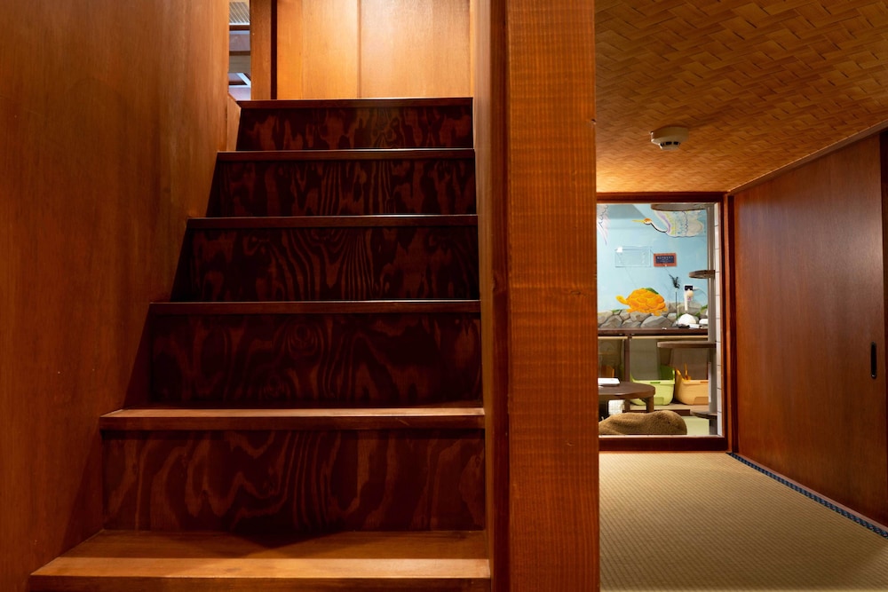 Cat水疗& Cat日式旅馆Neco Republic大阪(Cat Spa & Cat Ryokan Neco Republic Osaka) 图片5