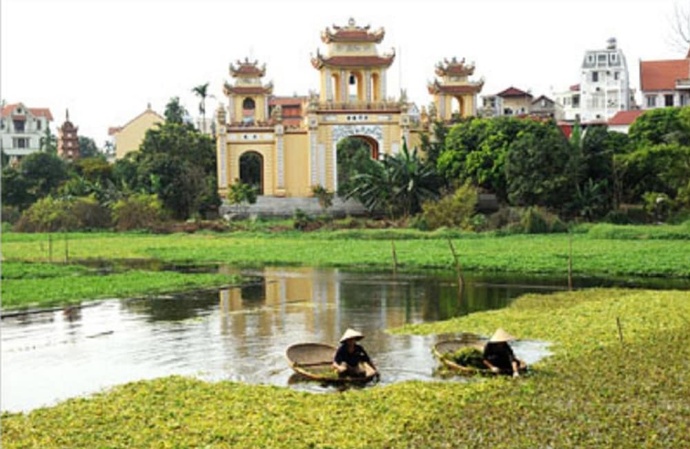 Wild Lotus Hotel 45/50
