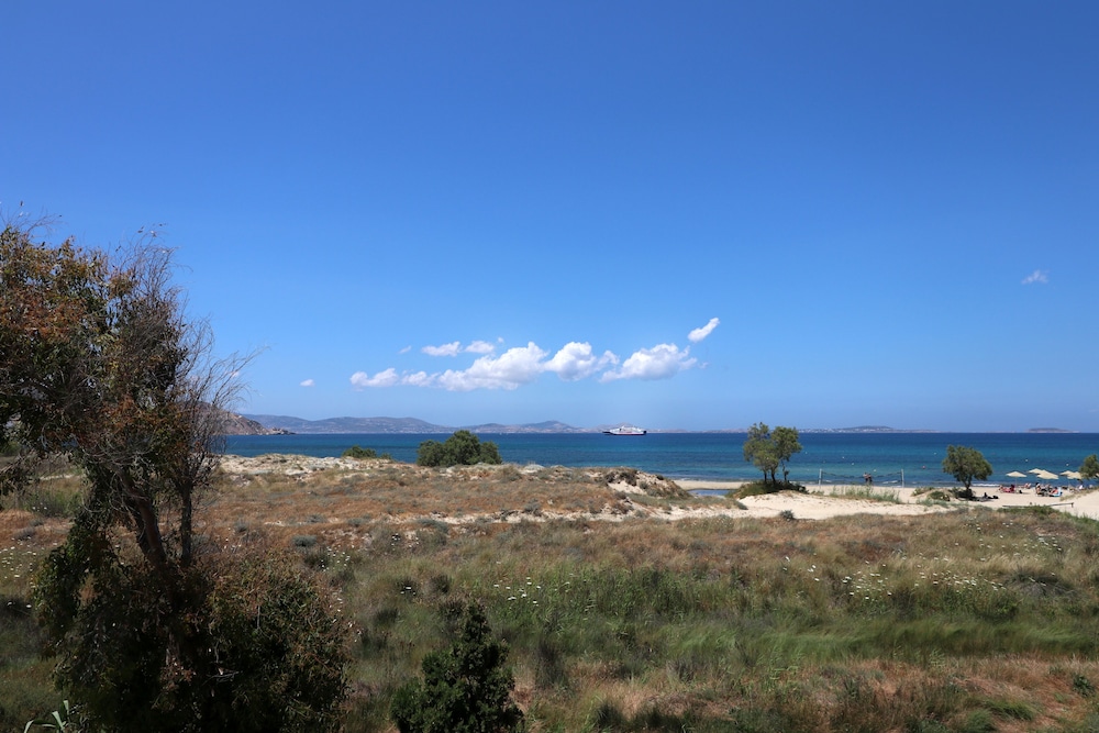 Alkyoni Beach 63/71