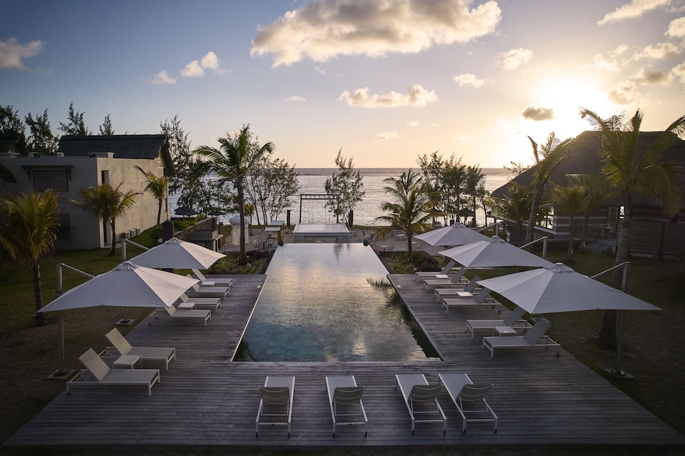 C Mauritius Palmar 48/50