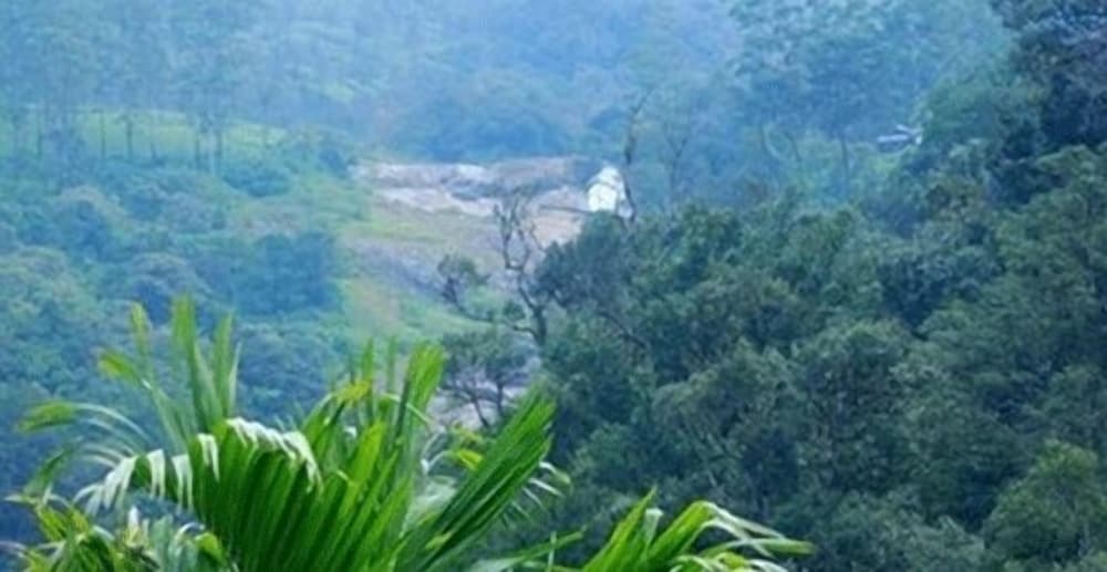 Green Trees Munnar 34/35