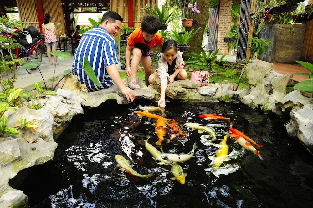 Ninh Binh Mountain Side Homestay & Cafe 60/67