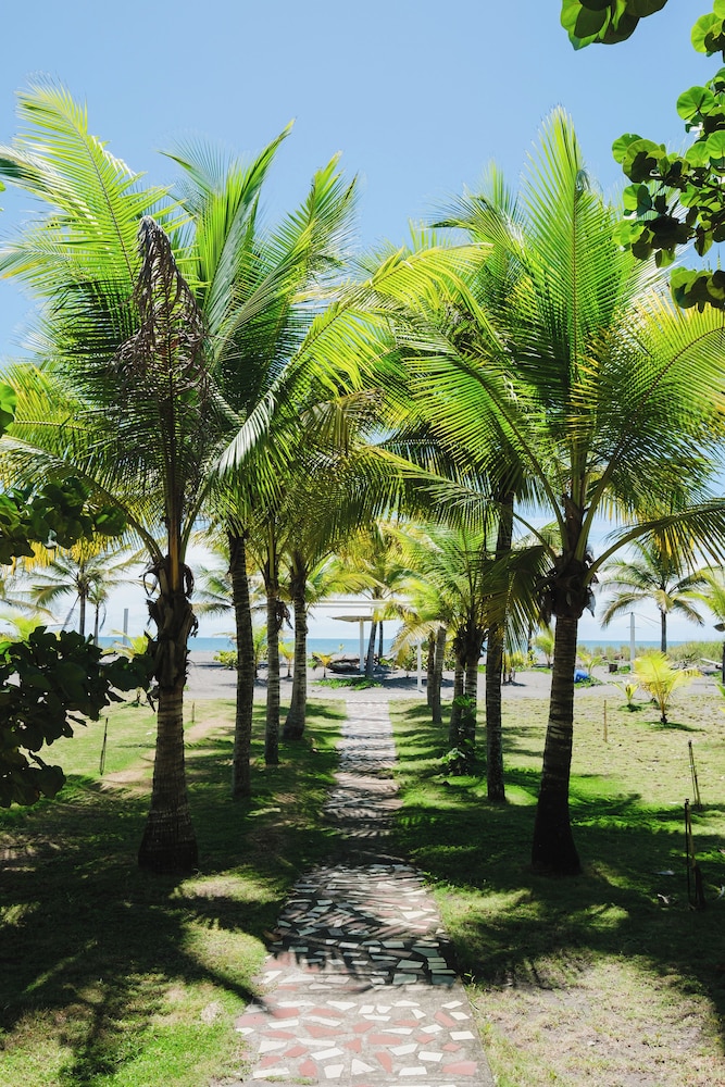 Las Olas Beach Resort 48/50