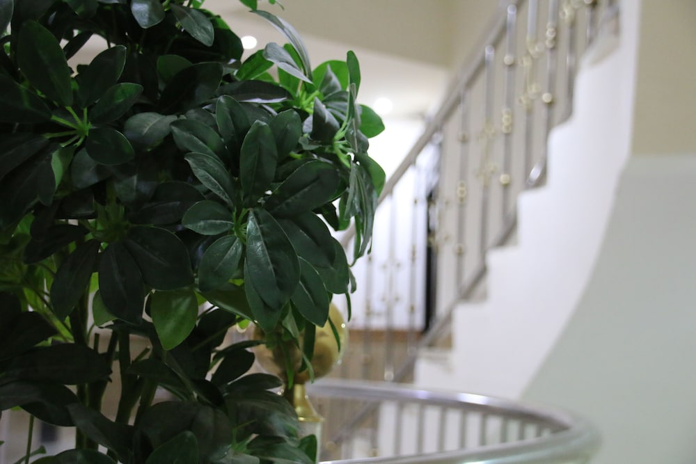 درر داريا للشقق الفندقية - الملقا2(Dorar Darea Hotel Apartments Al Malqa 2) 42/50