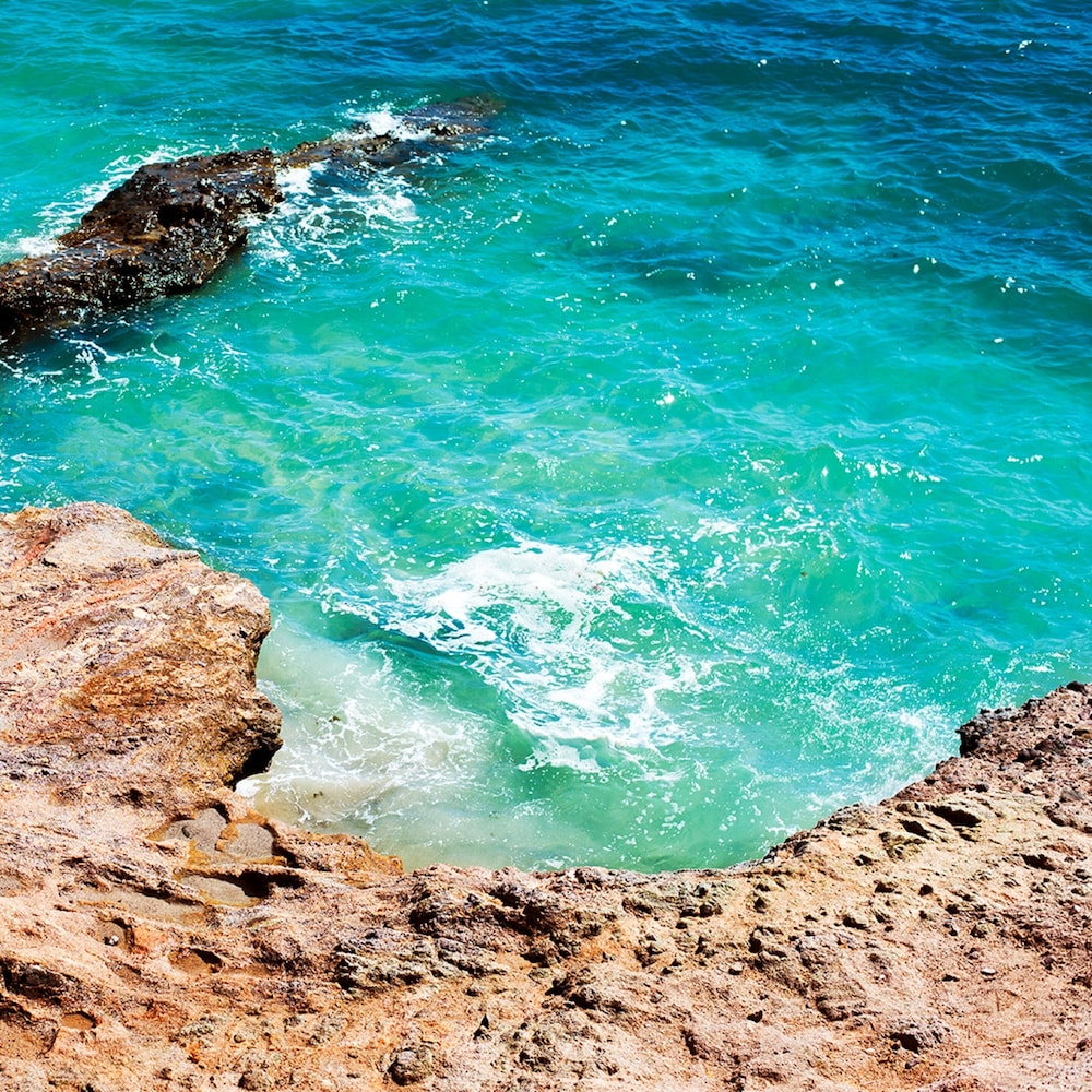 Sea Of Cortez Beach Club 67/72