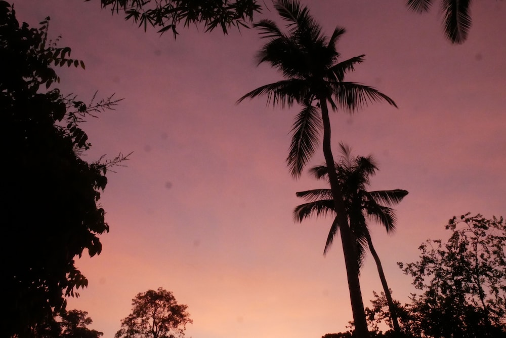 Shiralea Backpackers Resort 69/70