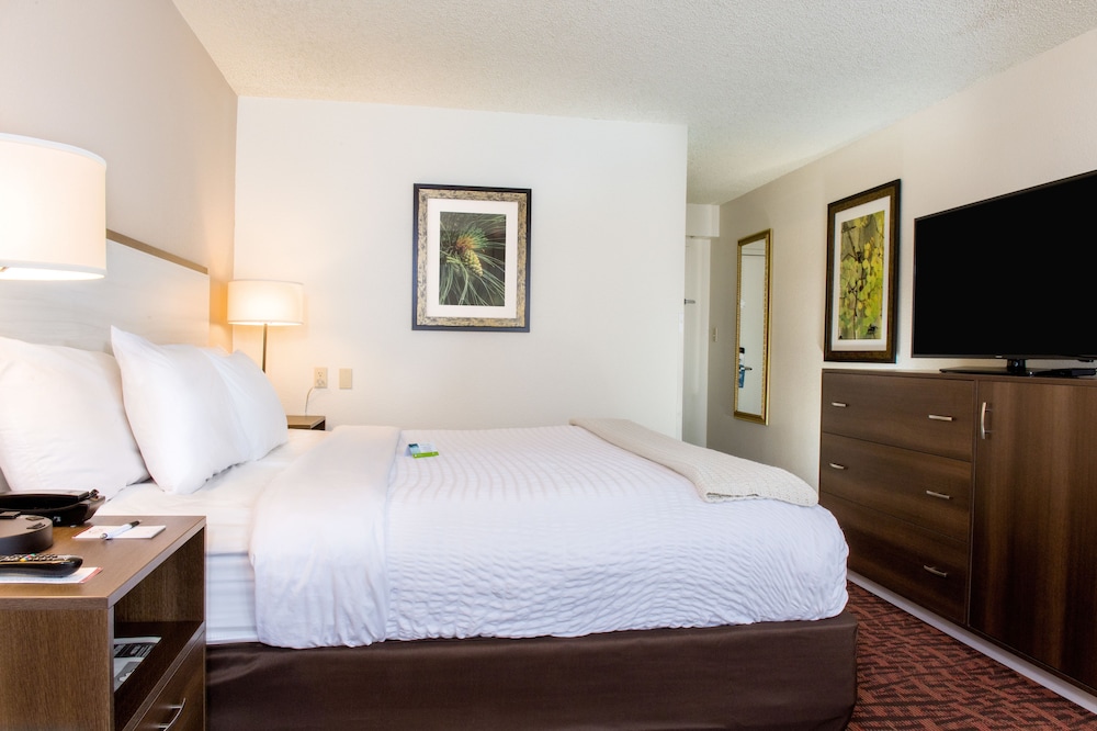 Holiday Inn Estes Park 20/84