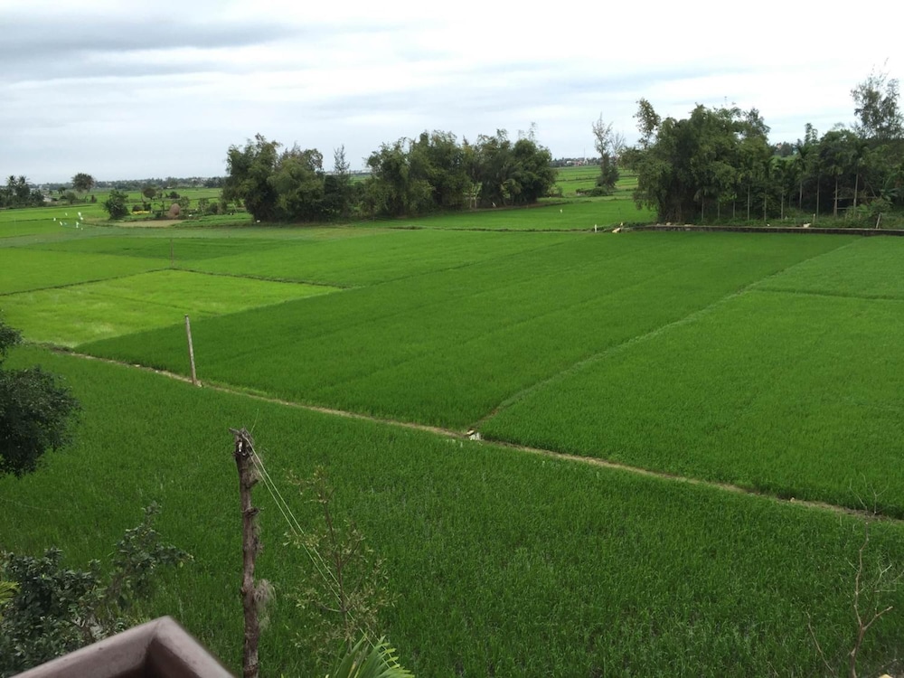Iris Villa Hoi an 31/50