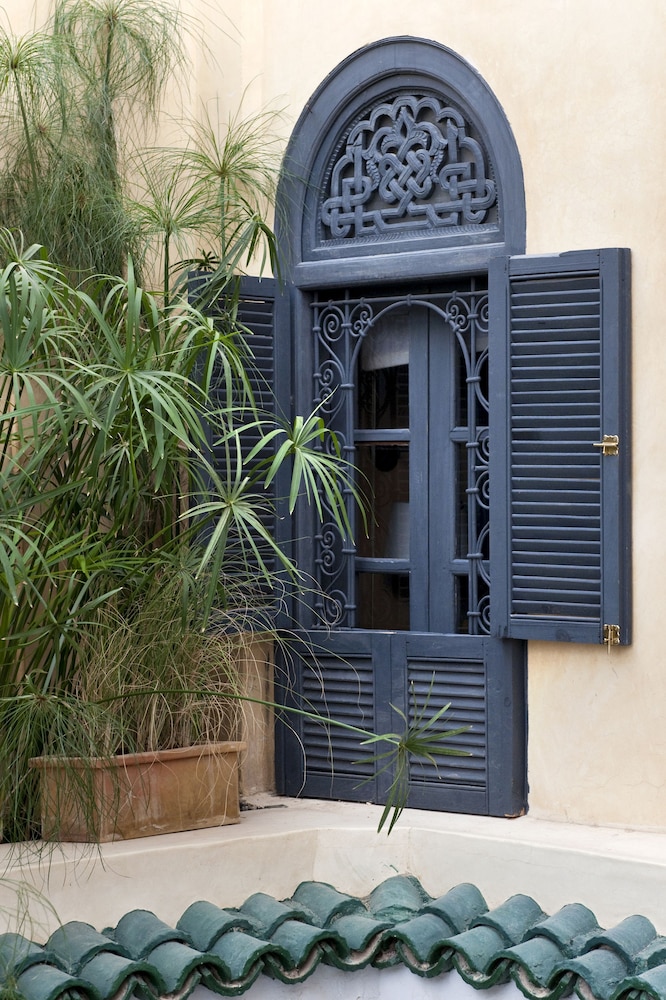 RIAD ANATA 5/50