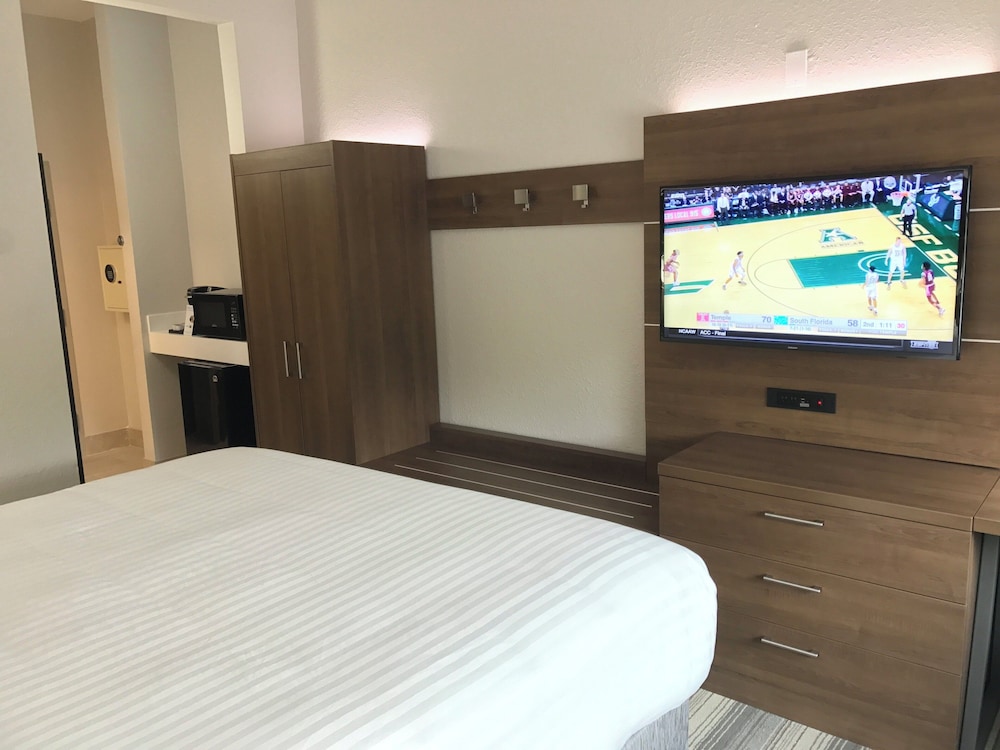 Holiday Inn Express Naples South I 75 21/67