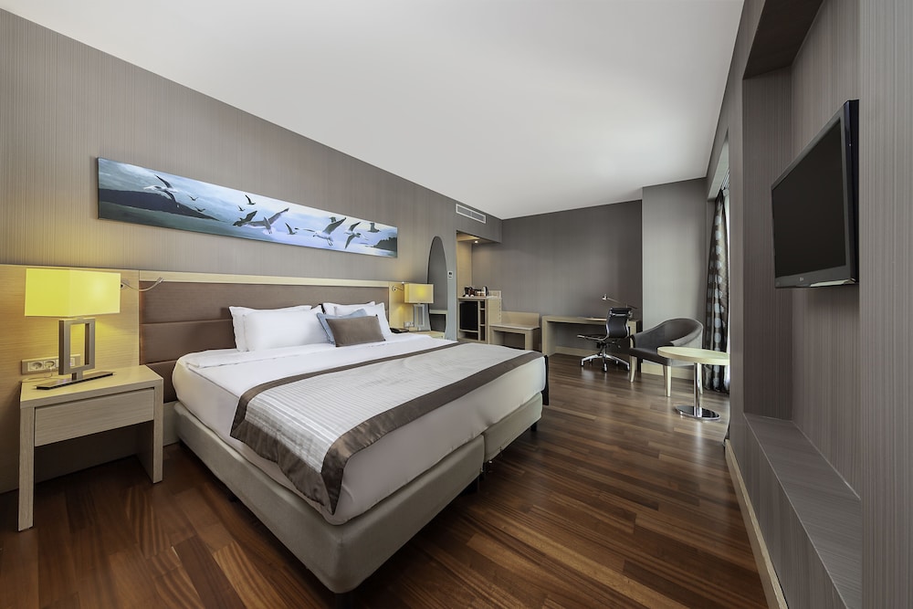 Park Dedeman Bostanci Hotel 15/52