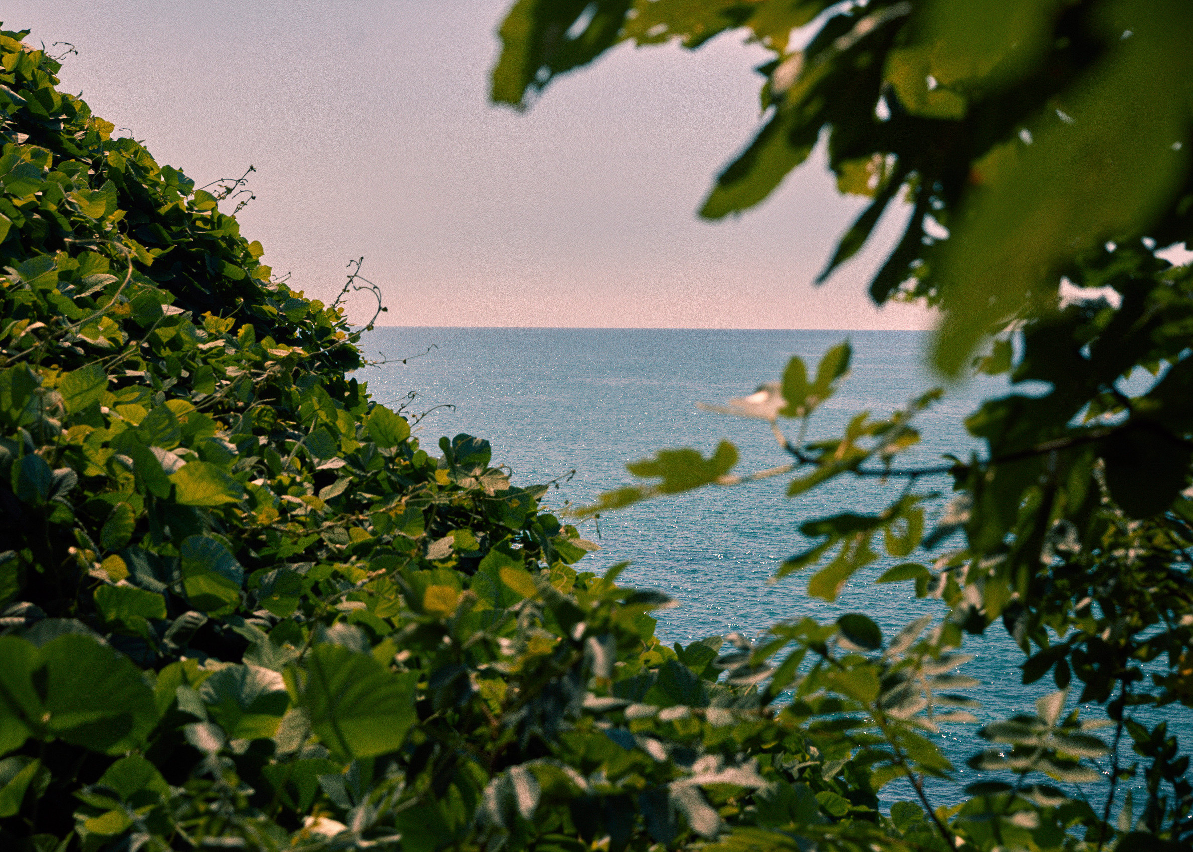 Rooms Batumi 36/37