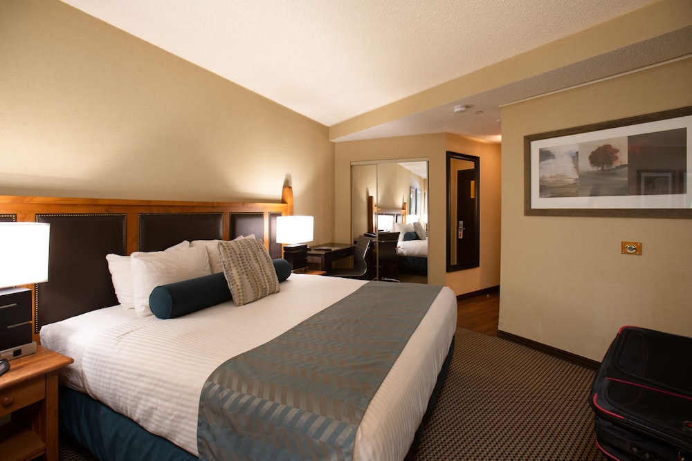 The Blackcomb Lodge 15/27