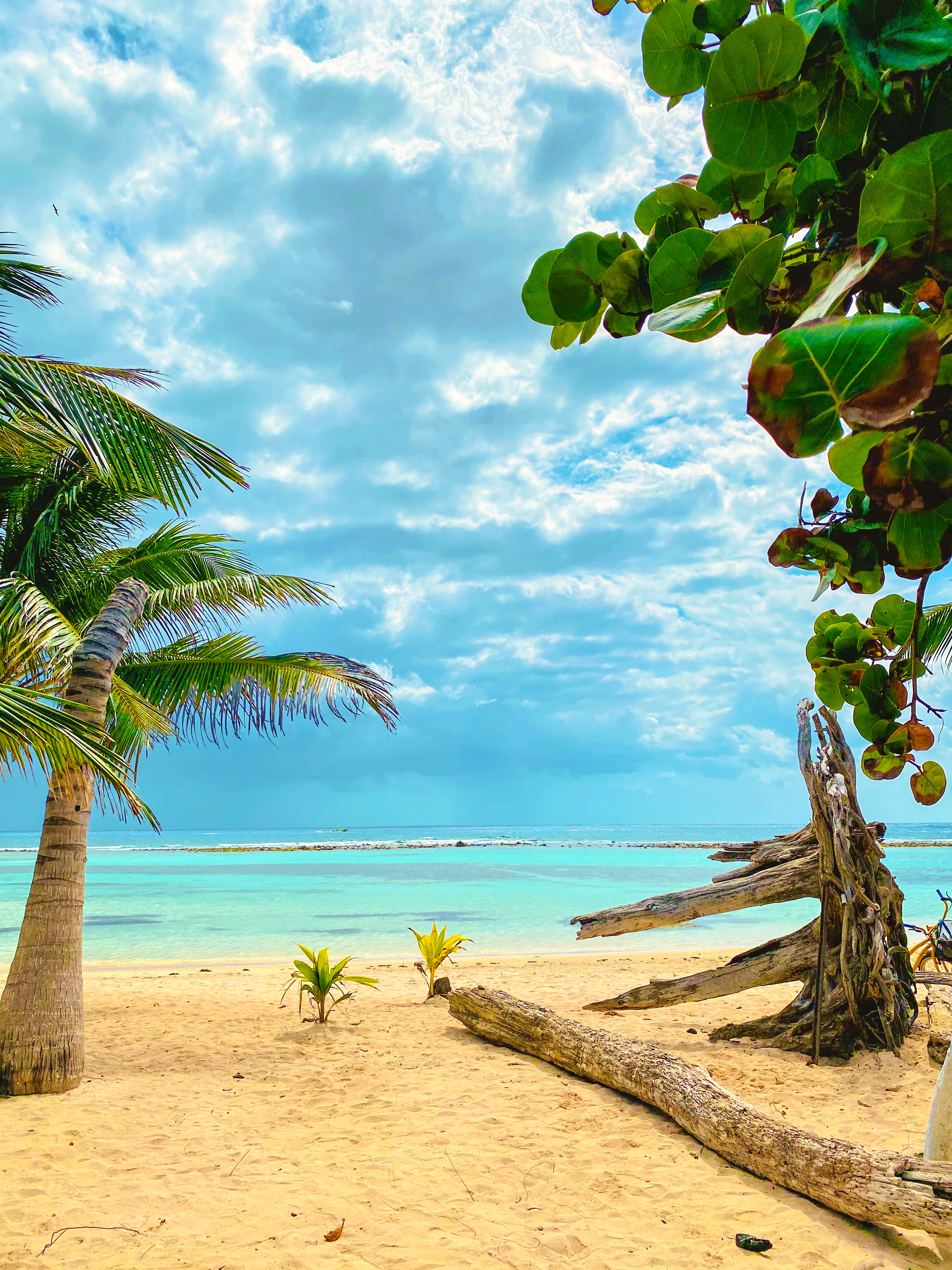 Blue Kay Eco Resort Mahahual 43/50