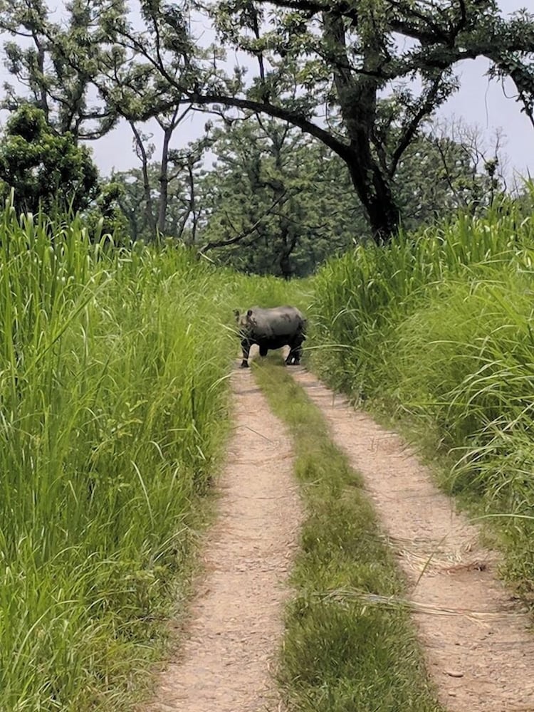 Wildlife Adventure Resort 46/50