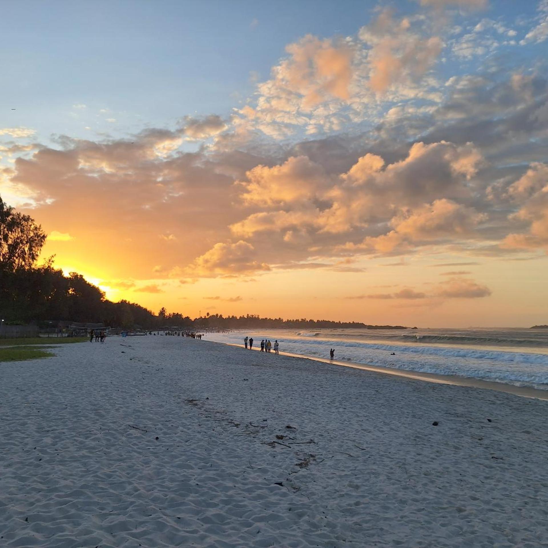 Kipepeo Beach And Village 55/62