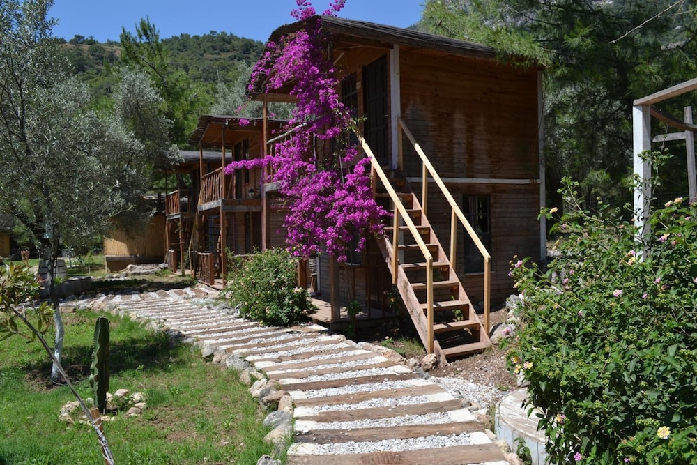 Chakra Beach Kabak 3/50