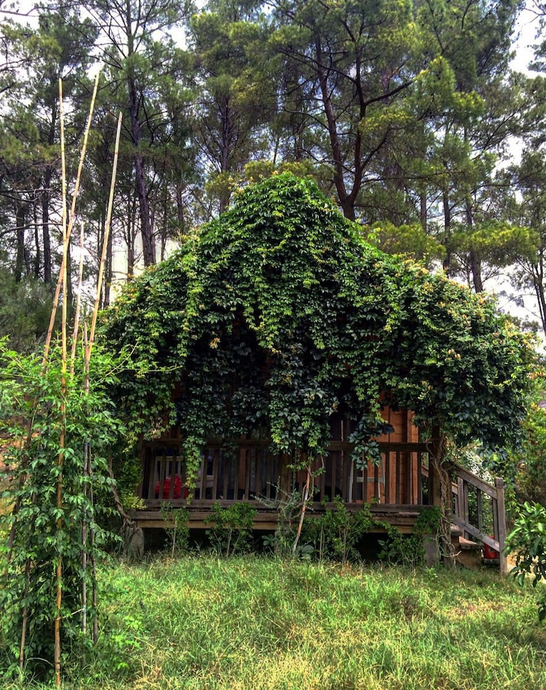 Olympos Village Hotel 33/41