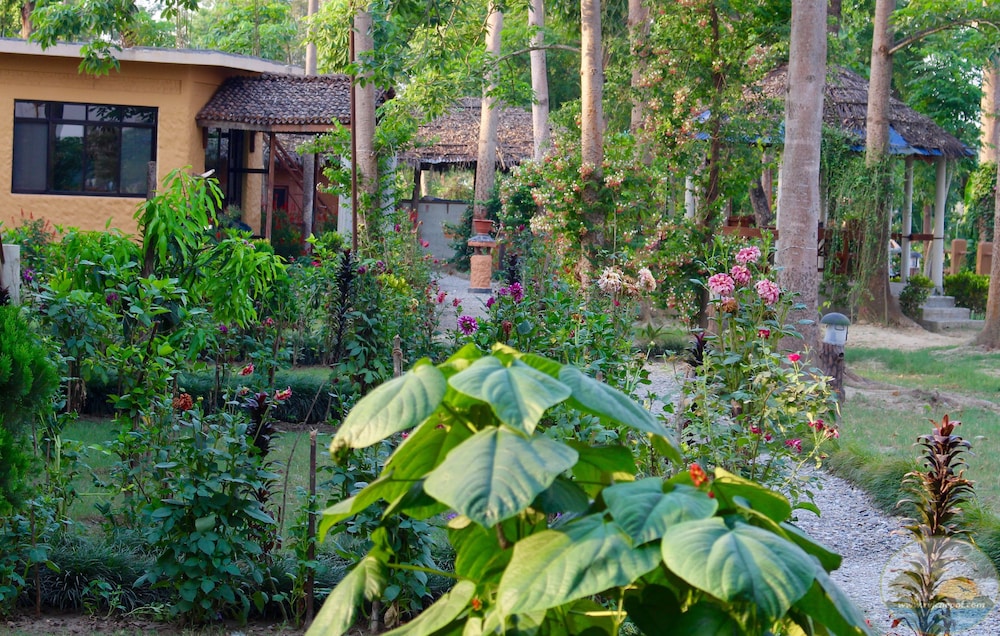 River View Jungle Camp 39/50