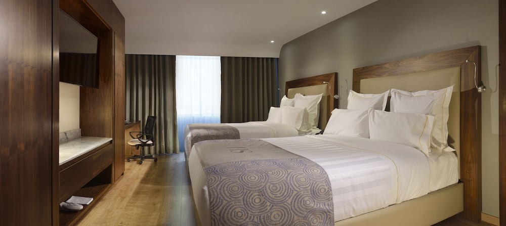 HS HOTSSON Hotel Silao 16/58