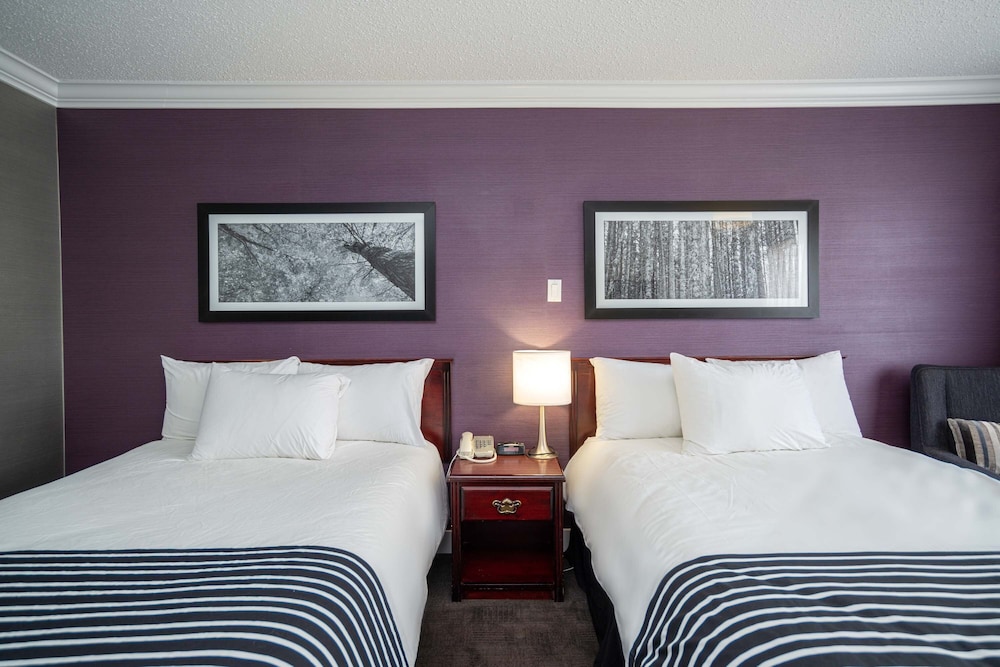 Sandman Hotel & Suites Williams Lake 9/40