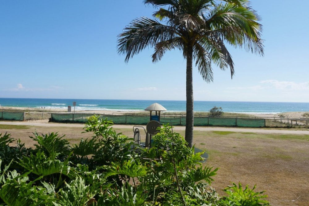 PRINCESS PALM ON THE BEACH 35/48