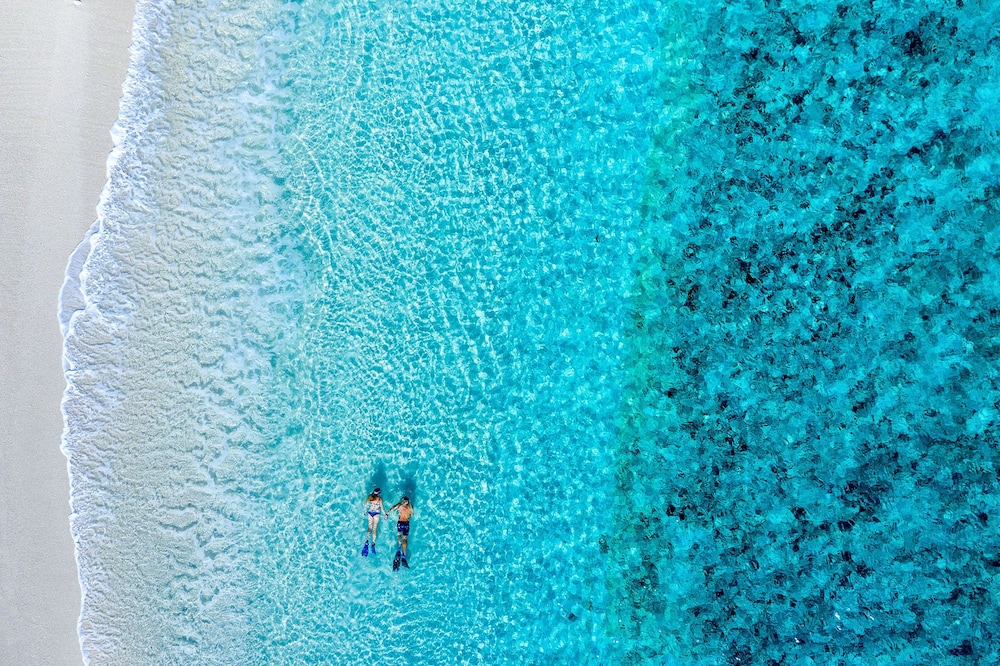 Wilson Island Resort 31/38