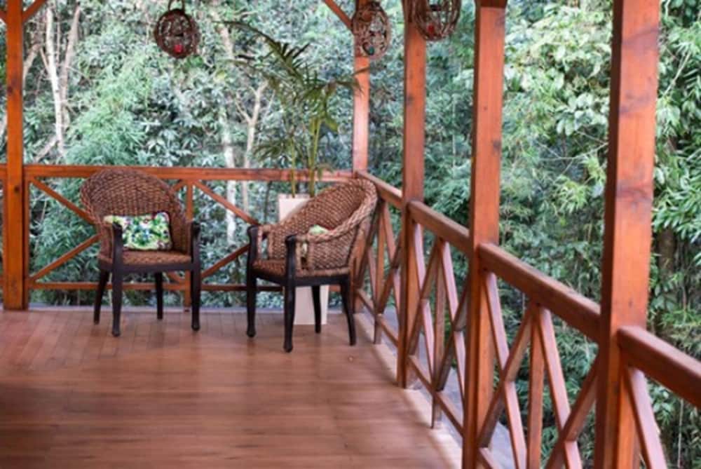 Selva de Laurel 47/71