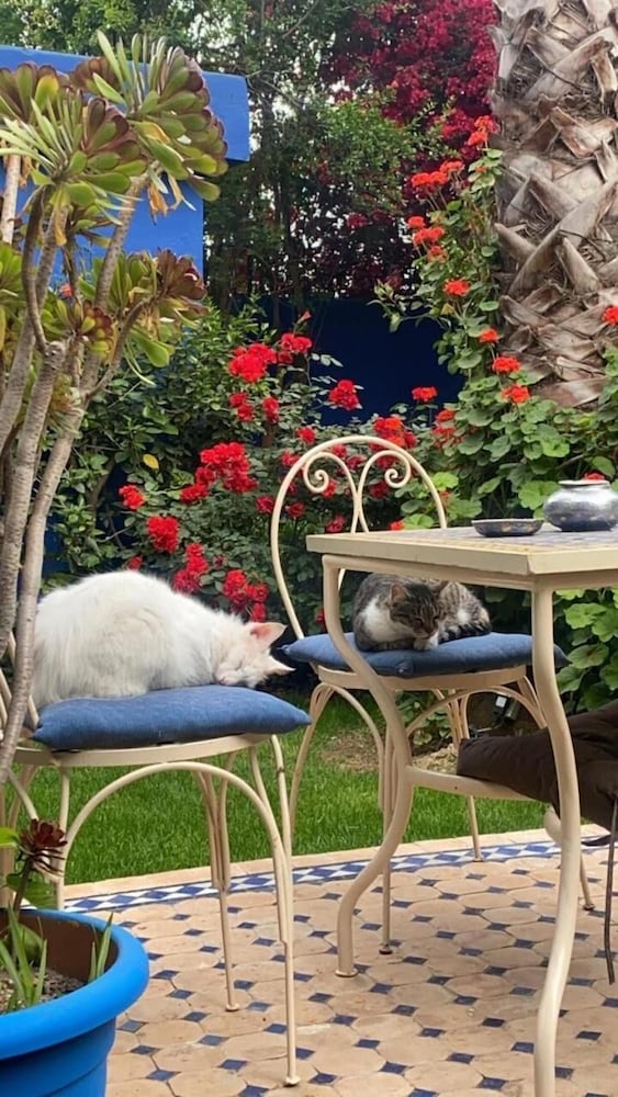Riad Jean Claude 45/48