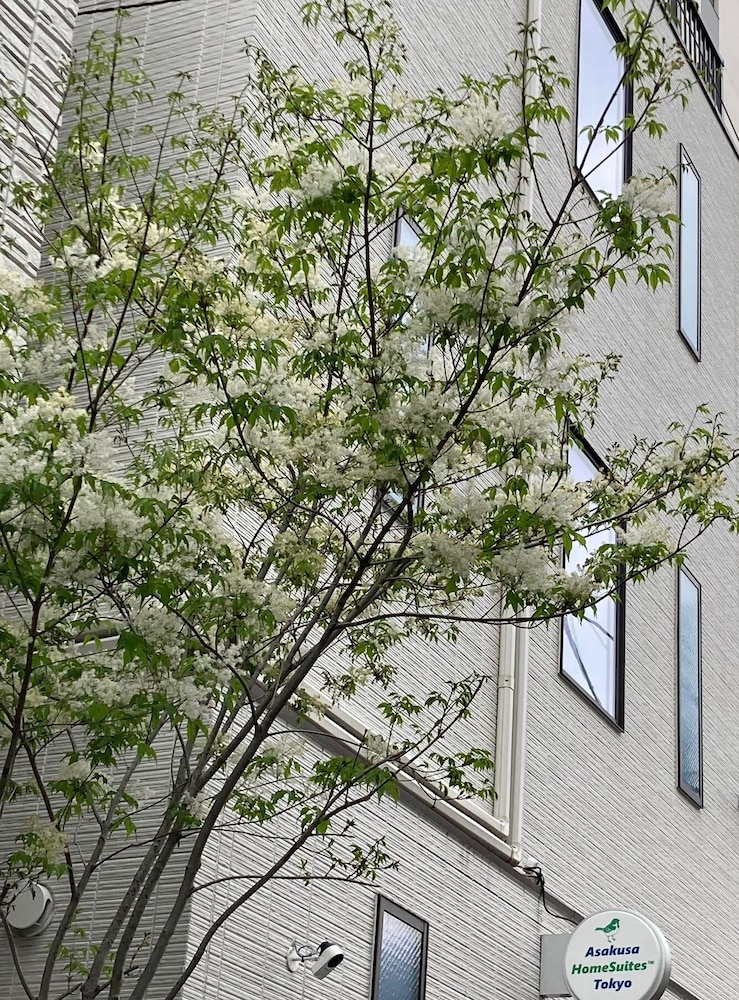 Asakusa HomeSuites Tokyo 19/20