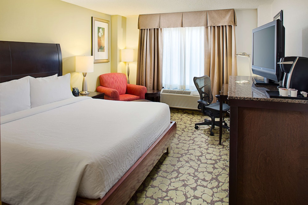 Evolution, Deluxe, Suite, King Bed